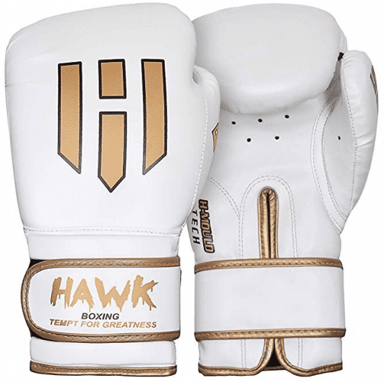 Hawk Boxing Gloves for Men & Women Training Pro Punching Heavy Bag Mitts