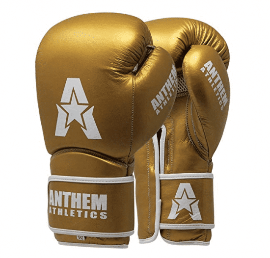 Anthem Athletics STORMBRINGER II Leather Boxing Gloves